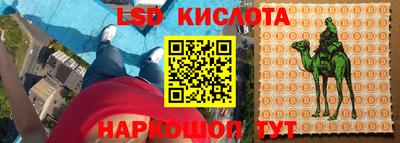 ГАЛЛЮЦИНОГЕННЫЕ ГРИБЫ Коммунар