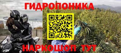ГАЛЛЮЦИНОГЕННЫЕ ГРИБЫ Коммунар