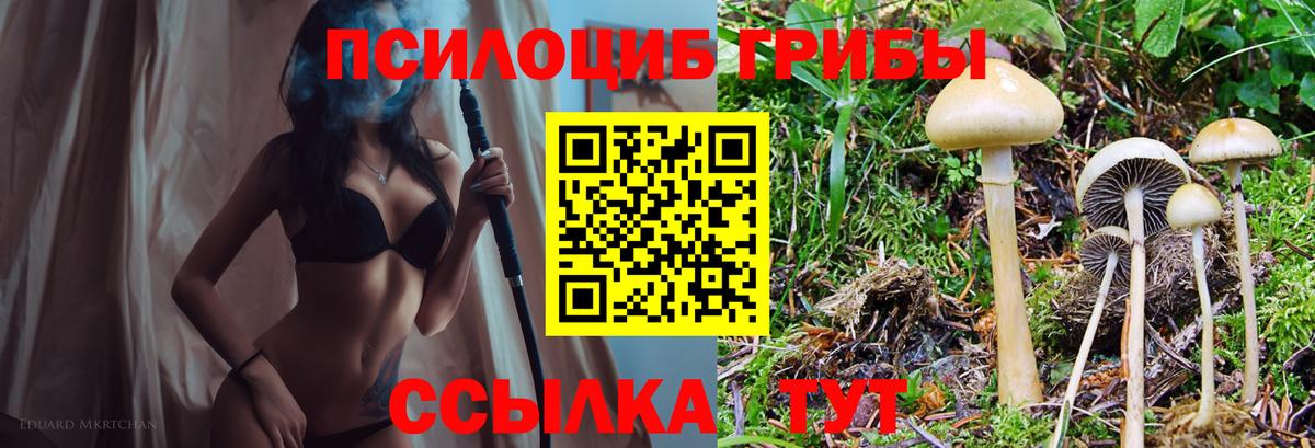Знаменск  Галлюциногенные грибы Psilocybe  Псилоцибиновые грибы Magic Shrooms  Вход с VPN 